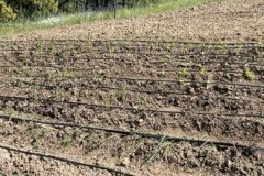 202302_Foto11-380x220-1