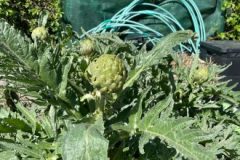 202302_Foto16-380x220-1