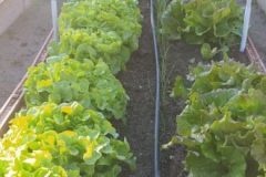 202302_Foto17-380x220-1