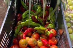 202302_Foto20-380x220-1