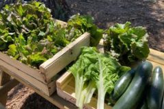 202302_Foto24-380x220-1