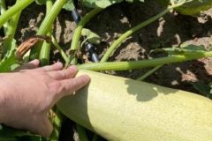 202302_Foto25-380x220-1