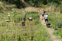 202302_Foto28-380x220-1