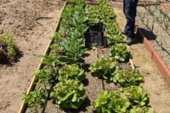 202302_Foto29-380x220-1