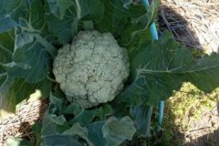 202302_Foto32-380x220-1