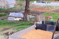 202302_Foto35-380x220-1