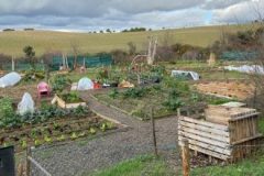 202302_Foto37-380x220-1