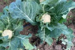 202302_Foto39-380x220-1