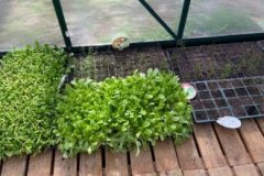 202302_Foto40-380x220-1