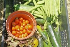 202302_Foto44-380x220-1