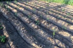 202302_Foto50-380x220-1