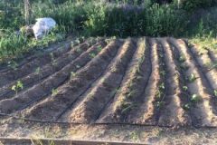 202302_Foto51-380x220-1