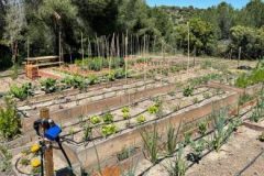 202302_Foto6-380x220-1