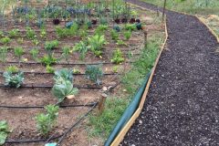 IMG_0497-3-rotated-1