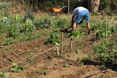 IMG_0861-2-e1526300119838