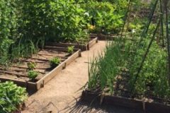 IMG_0867-e1526300009193-380x220-1