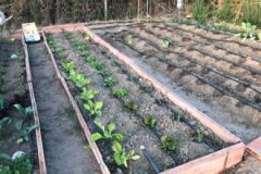 IMG_2702-1-380x220-1