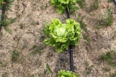 IMG_4103-1-380x220-1