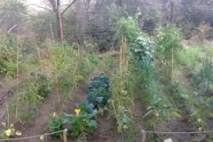 Imagen0117-380x220-1