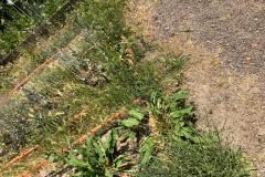 WhatsApp-Image-2025-06-03-at-12.19.39-18