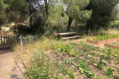 WhatsApp-Image-2025-06-03-at-12.19.39-2