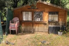 WhatsApp-Image-2025-06-03-at-12.19.39-20