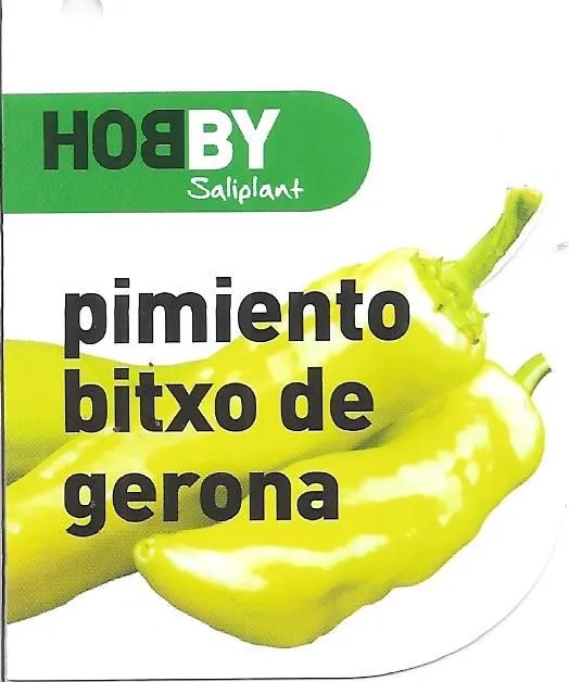 Maceta Pimiento Bítxo de Gerona M-11