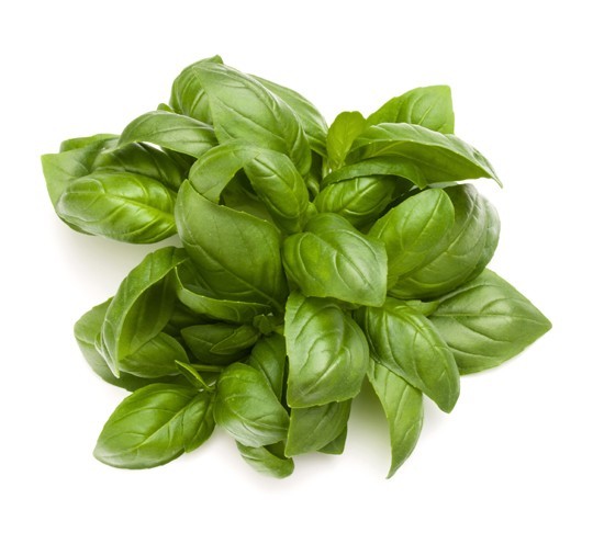 Maceta Albahaca Canela Eco M-11