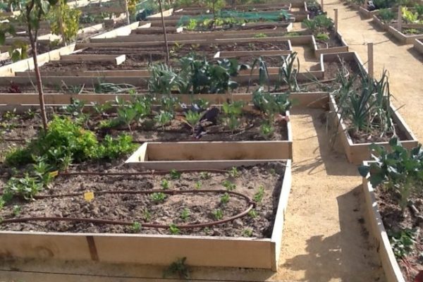 la-foto3-rotated-e1643211001794